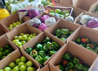 A Sad Story for New-Gen Farmers