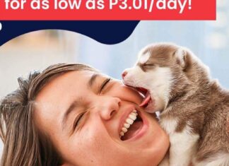 Pet Insurance – Secure & Protect your Fur Babies